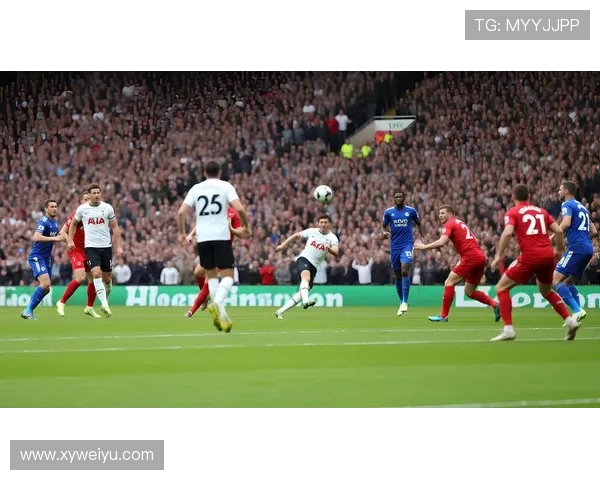 从绿茵场到世界舞台探寻足球运动的激情与文化魅力