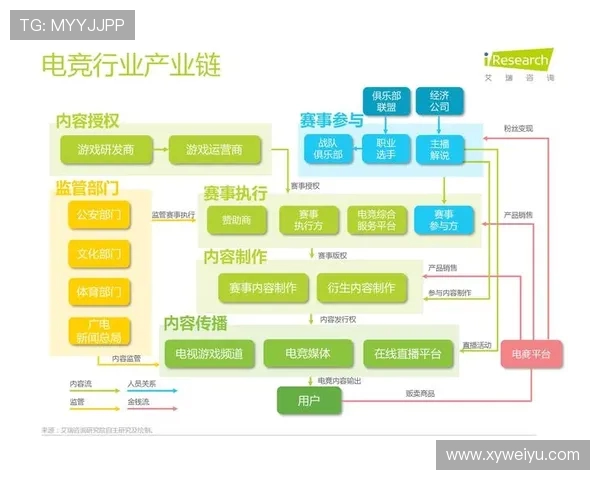 电子竞技产业的崛起与发展趋势分析：全球化视野下的未来挑战与机遇