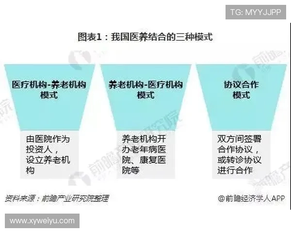 探索现代足球俱乐部运营模式与全球化背景下多元发展的未来趋势新