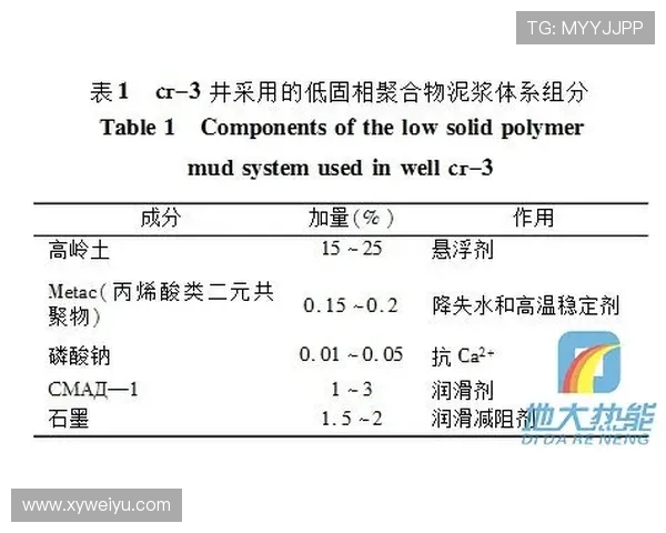 重庆飞盘队运营分析：成功经验与面临挑战的全面探讨