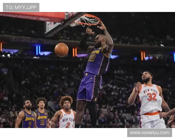 2013年湖人队与纽约尼克斯的精彩对决回顾与分析
