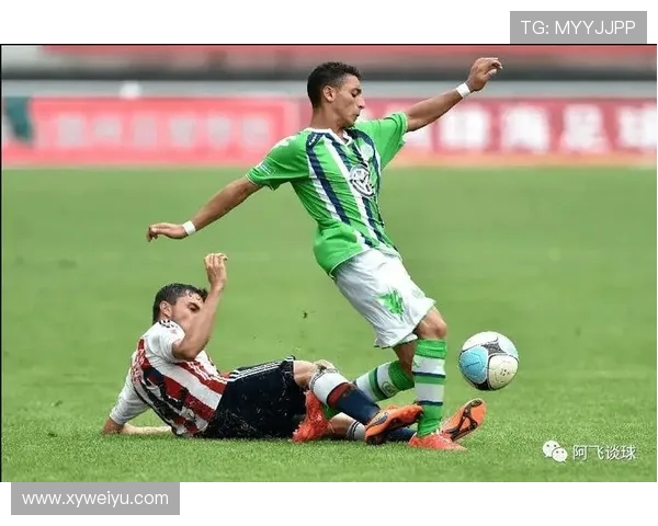 努涅斯在赛场上的崛起与挑战解析,展望未来的职业生涯发展与可能性