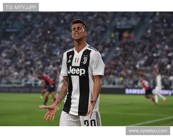 坎塞洛：从边后卫到全能战士的蜕变之路与职业生涯回顾