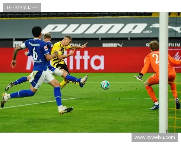 多特蒙德与沙尔克精彩对决集锦回顾赛场瞬间尽在眼前